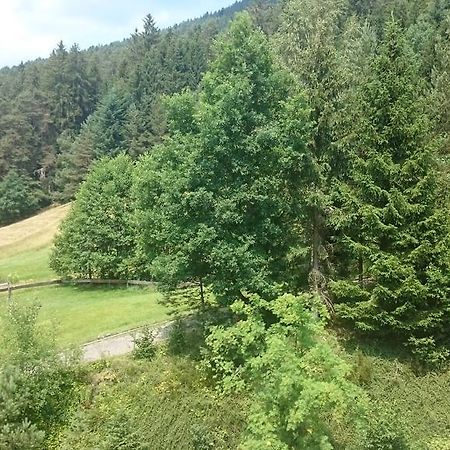 Waldblick Tonbach Baiersbronn Quarto foto