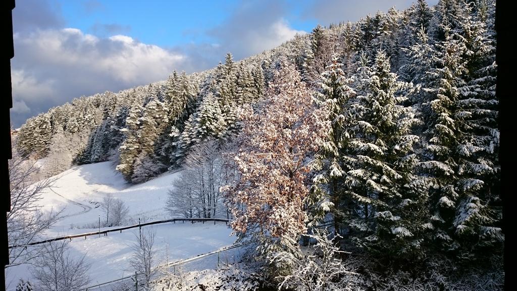 Waldblick Tonbach Baiersbronn Quarto foto