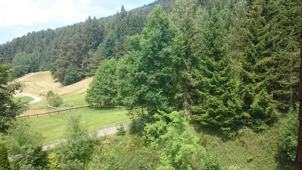 Waldblick Tonbach Baiersbronn Quarto foto