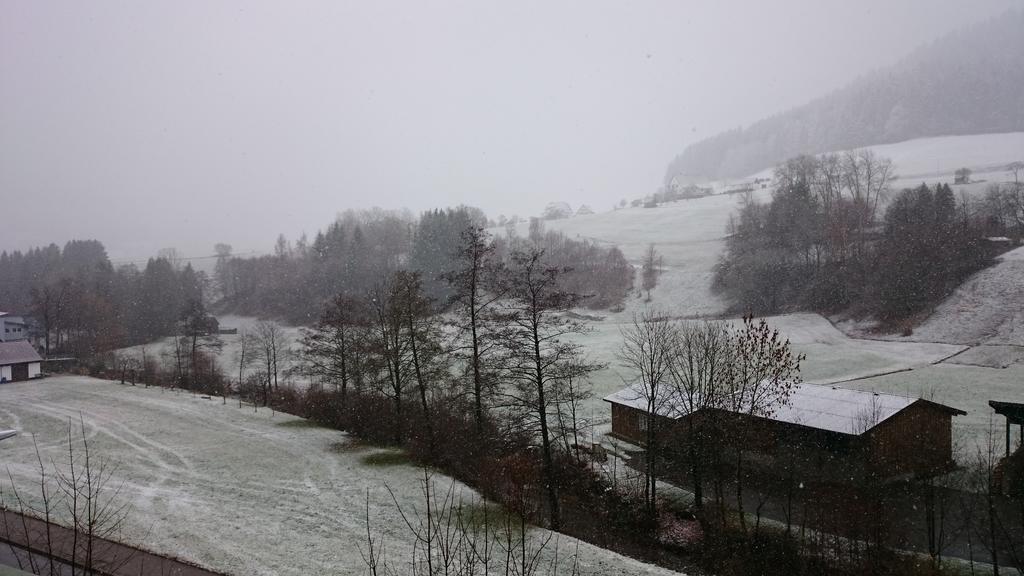 Waldblick Tonbach Baiersbronn Quarto foto